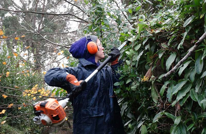 Une employée de jardin en train de tailler les haies